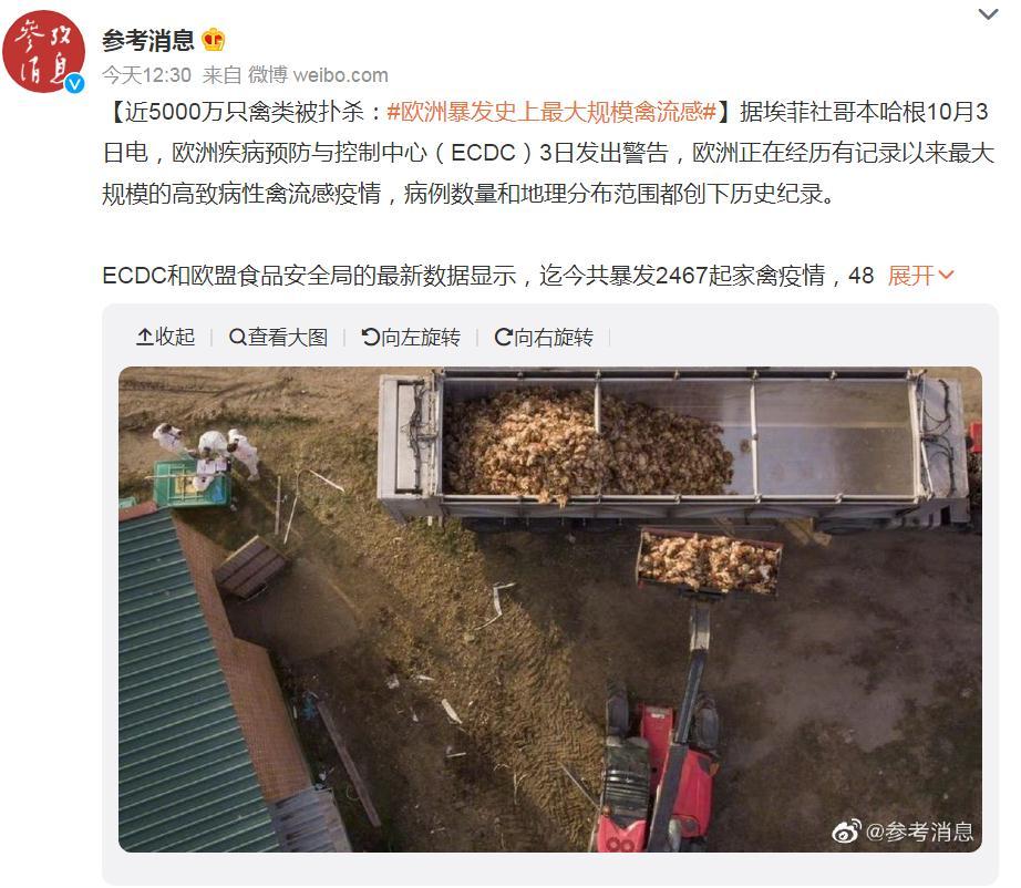 關注！歐洲暴發史上最大規模禽流感，波及37個國家！近5000萬只禽類被撲殺，蛋價會上漲么？